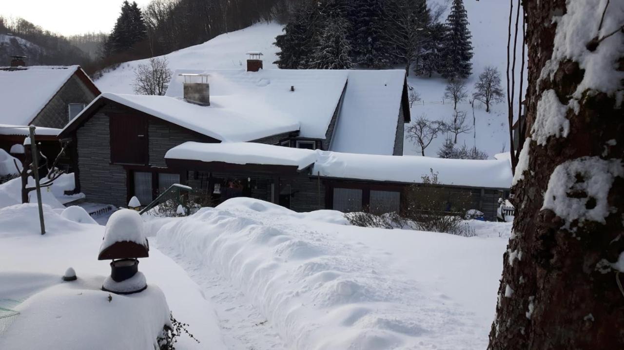 Haus Wiesenblick Walkenried Екстер'єр фото