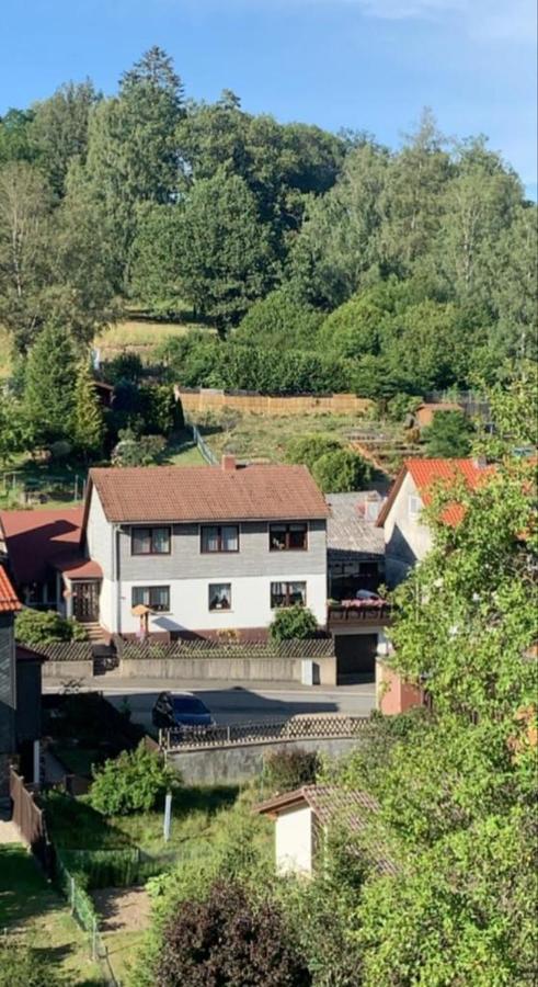 Haus Wiesenblick Walkenried Екстер'єр фото